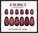 AZ BIG NAILS 13 stamping plate